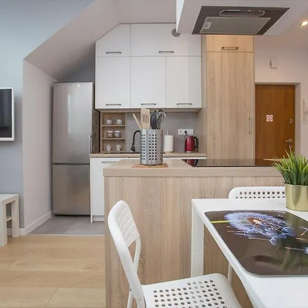 Urban Jungle Apartment In The City Center Bialystok Exterior photo